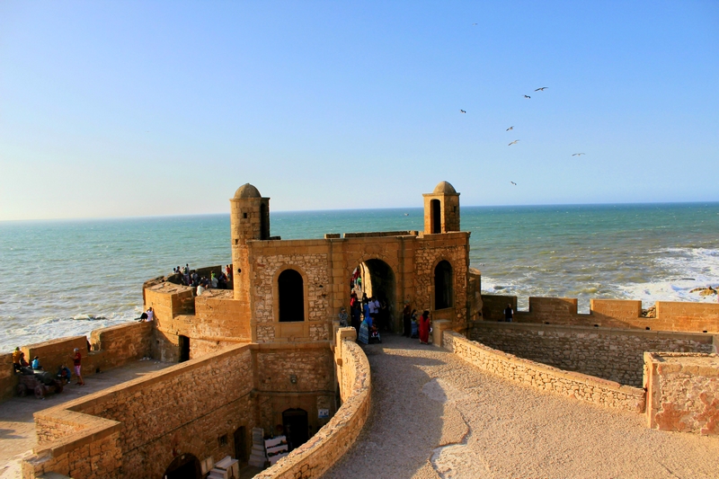 shore excursion casablanca panoraic tour morocco