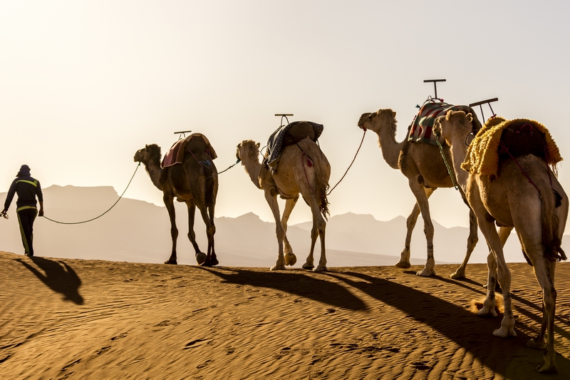 The charming Sahara Tour